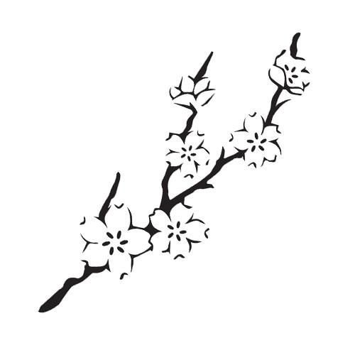 Сакура эскиз