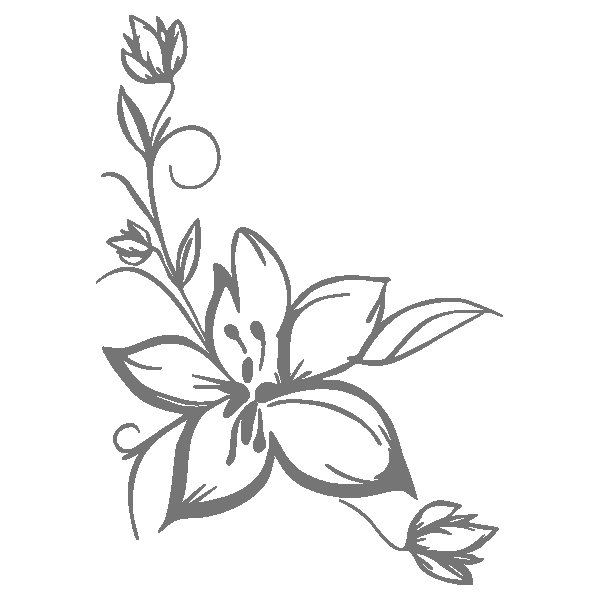 Трафареты цветов для декора