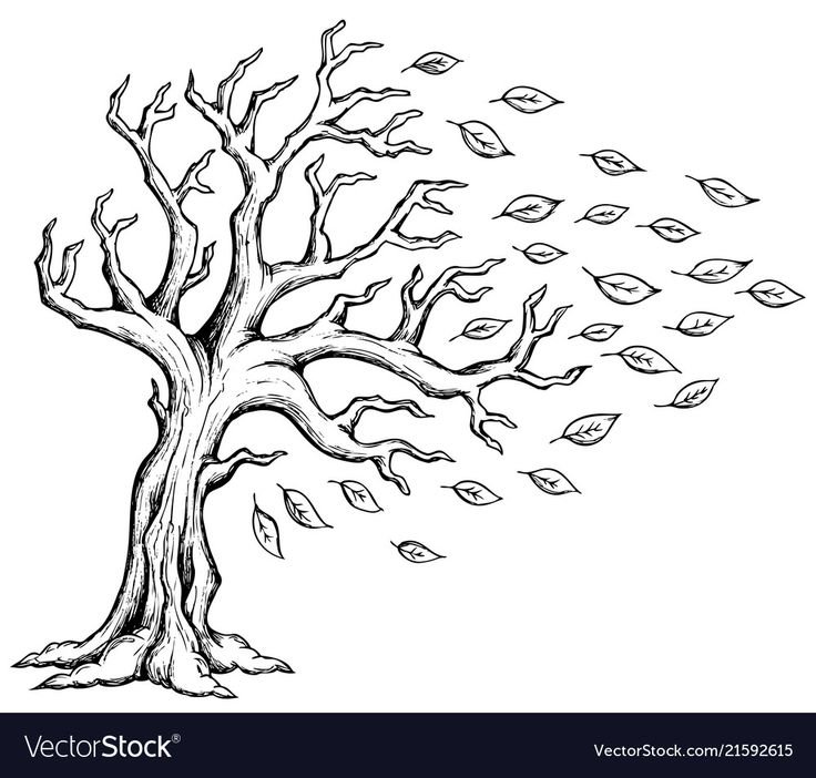 Дерево рисунок карандашом
