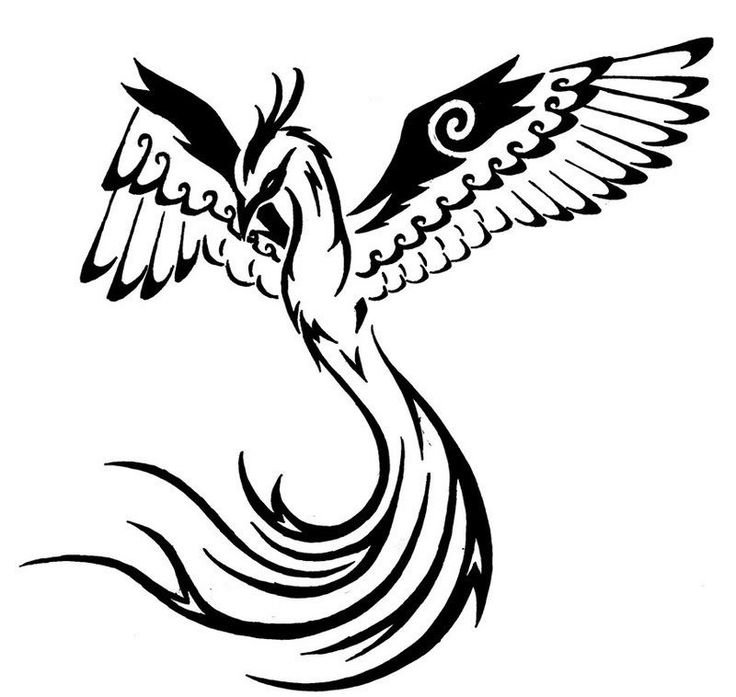 Птица Феникс тату эскизы