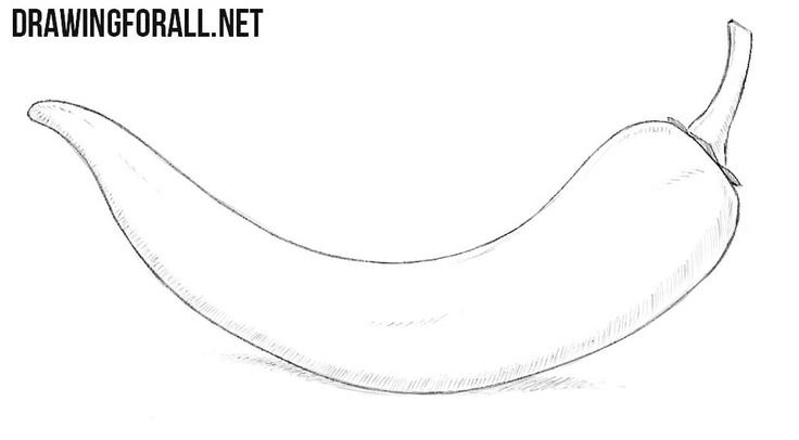 Перец рисунок карандашом