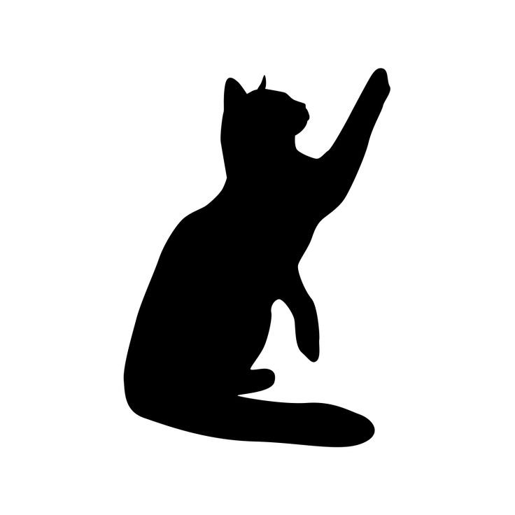 Силуэт кошки с поднятой лапой