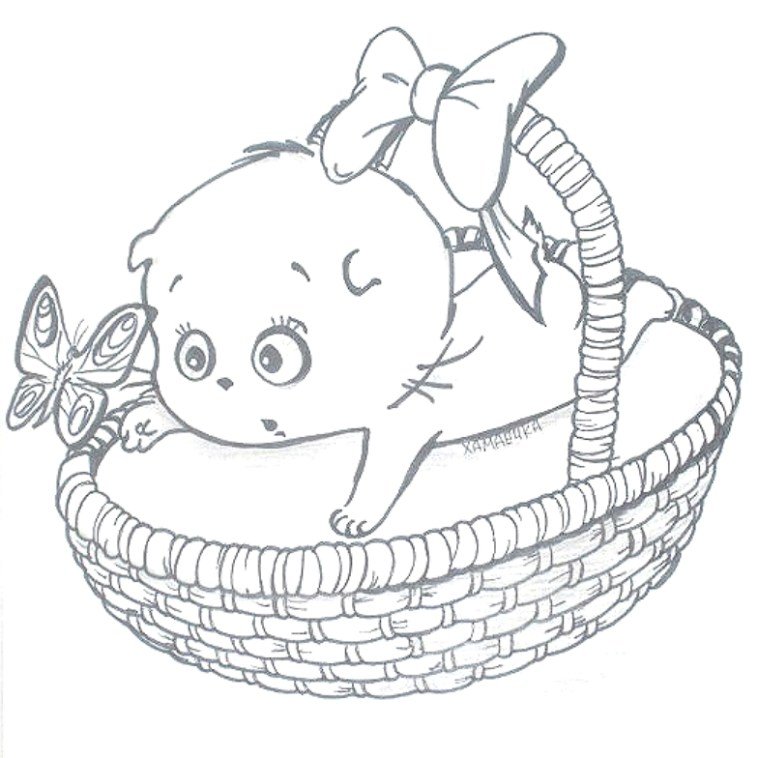 Басик раскраска