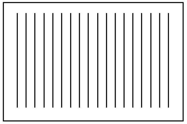 Зебра разметка а4