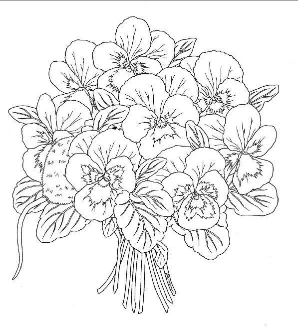 Цветы. Раскраска