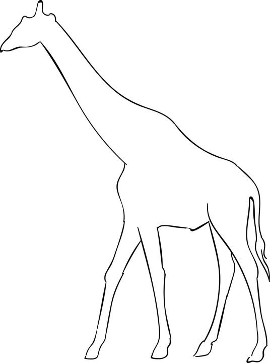 Трафарет жирафа для детей