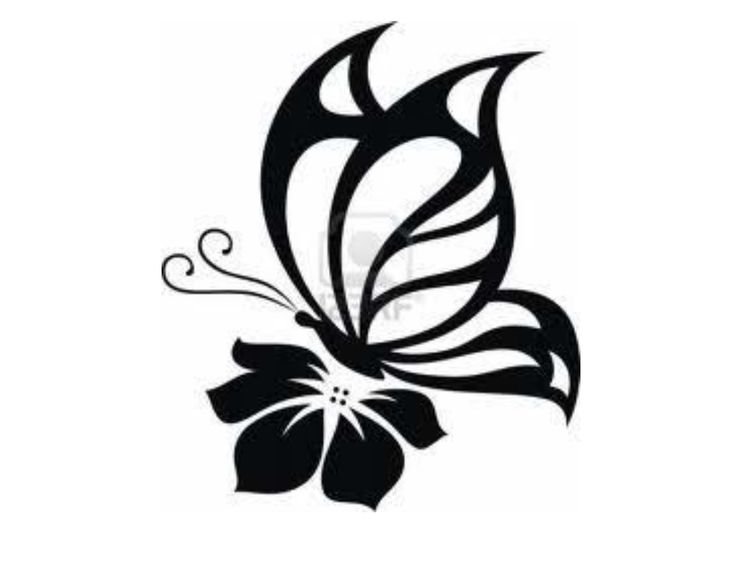 Трафареты бабочек для декора стены