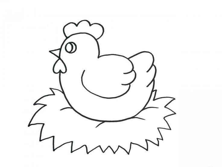 Цыпленок раскраска для детей