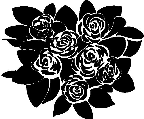 Черно-белый цветок