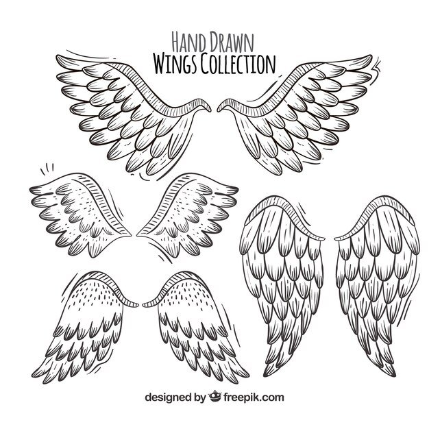 Крылья трафарет