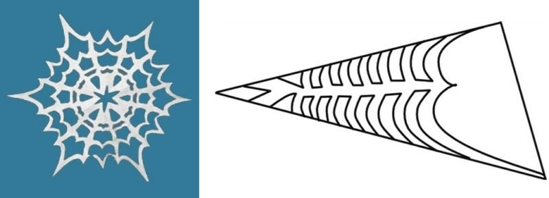 Снежинка в воде паутины