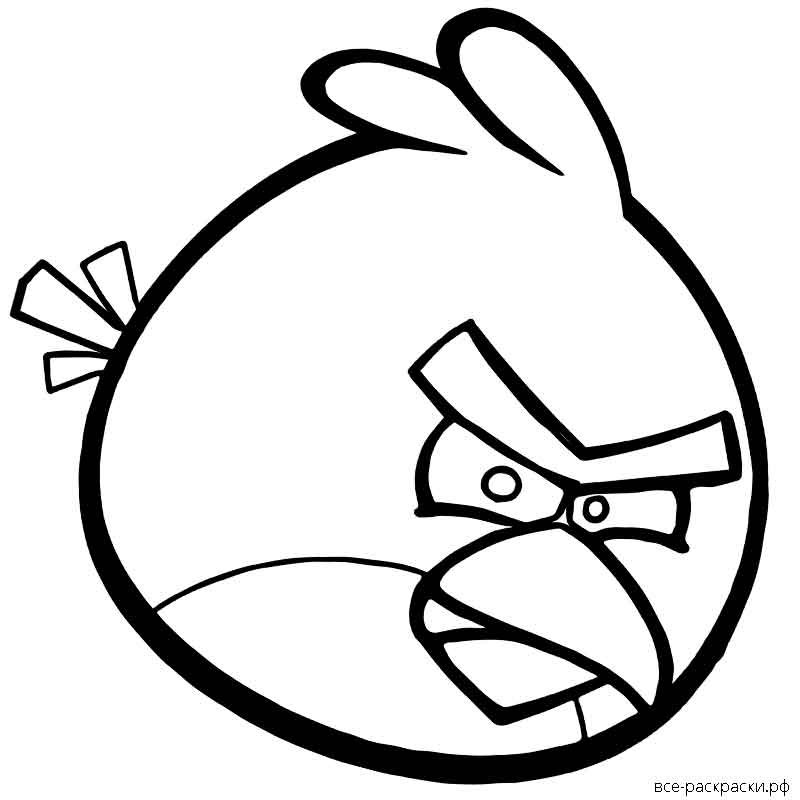 Раскраски эгрембертс