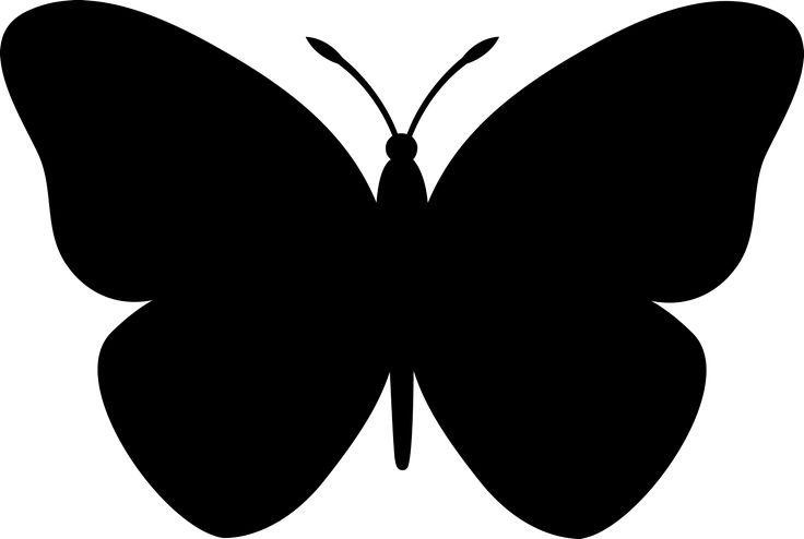 Силуэт бабочки