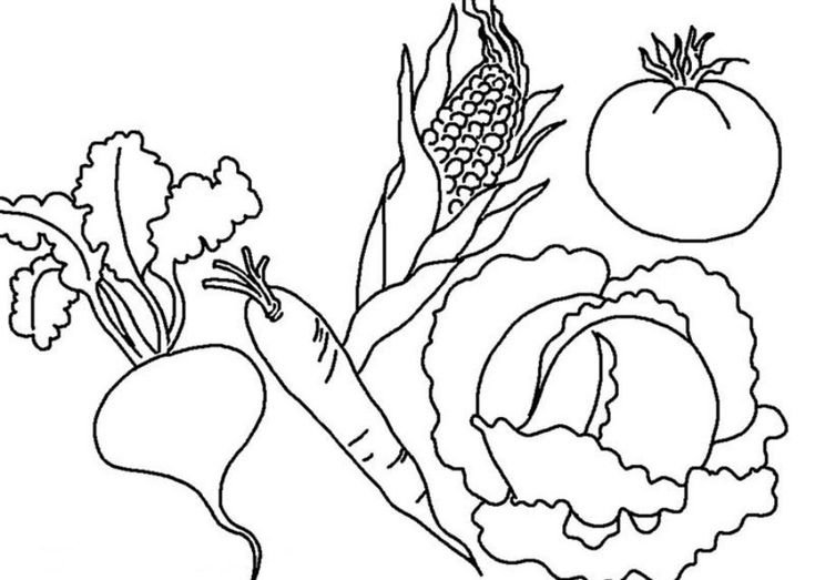 Овощи раскраска для детей
