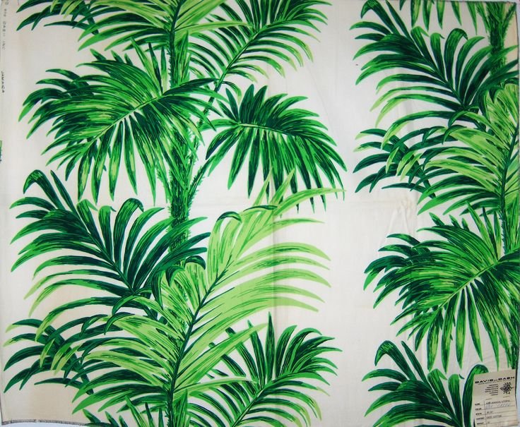 Пальмовые листья на стене
