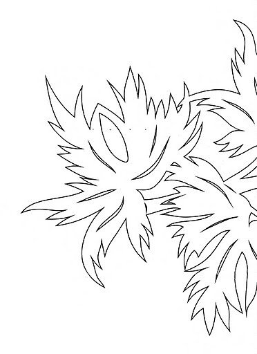 Вырезалки еловые ветки на окна