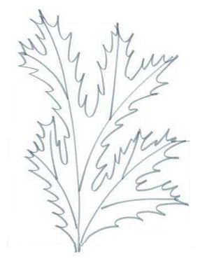 Морозные узоры раскраска для детей