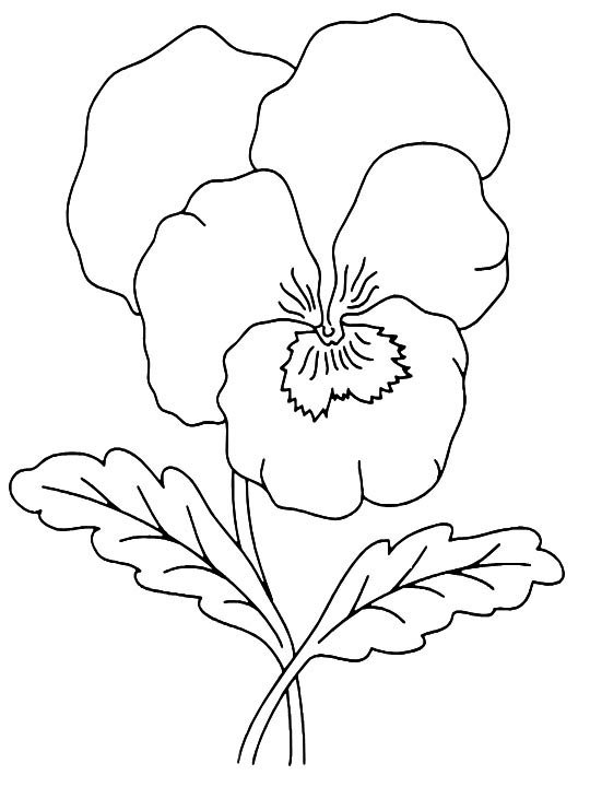 Трафареты цветов для детей