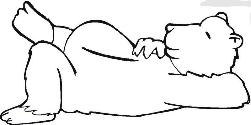 Медведь спит раскраска