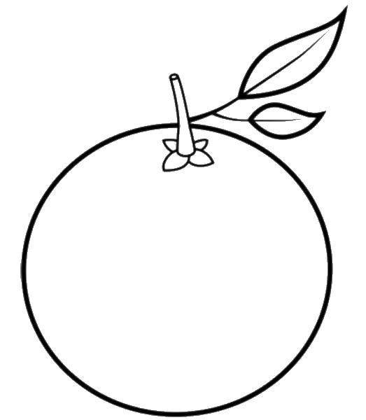 Апельсин раскраска для детей