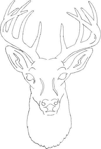 Голова оленя