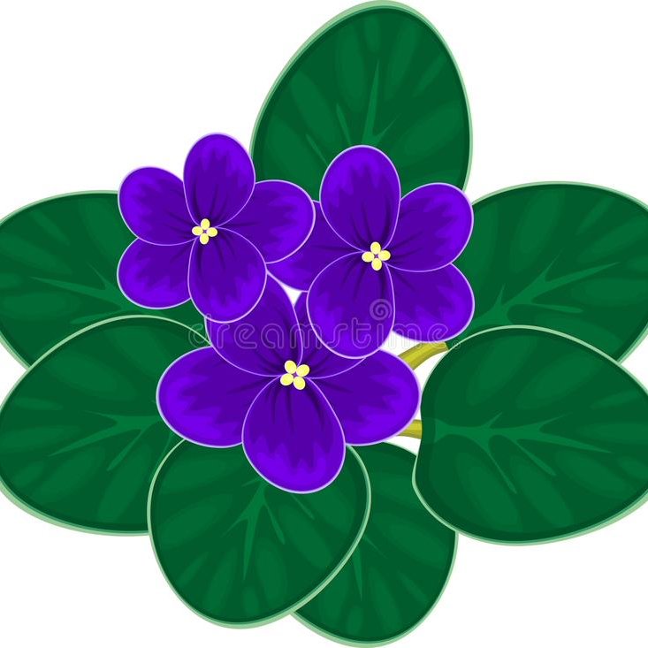 Фиалка для детей