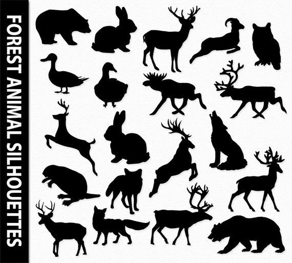 Силуэты лесных зверей