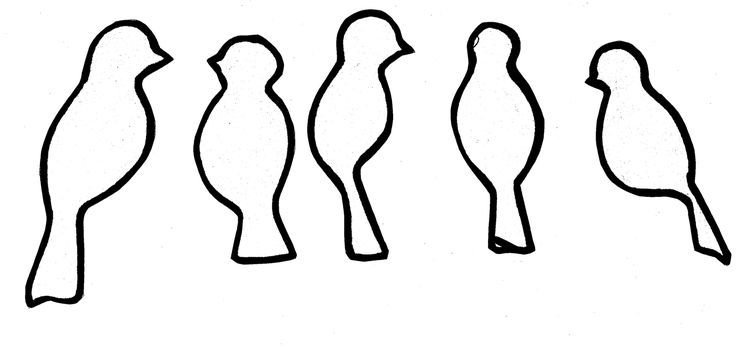 Птица контур