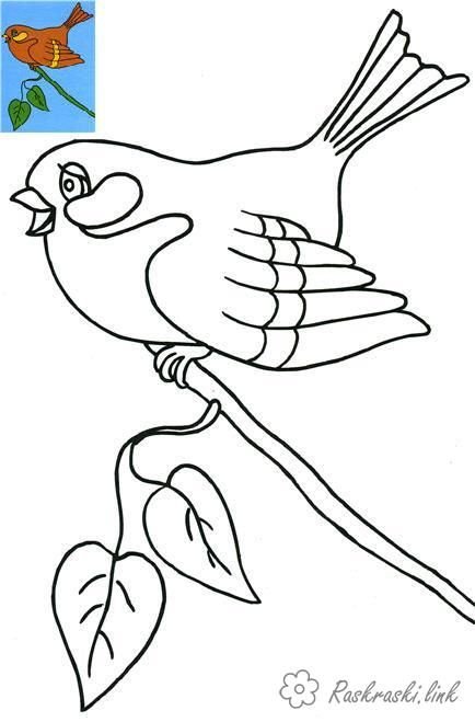 Трафарет птицы для рисования детям