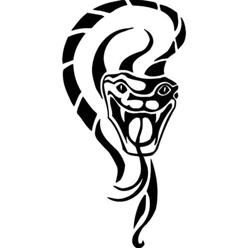 Черно белая змея