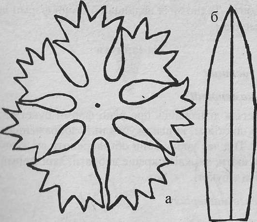 Шаблон цветка Василек