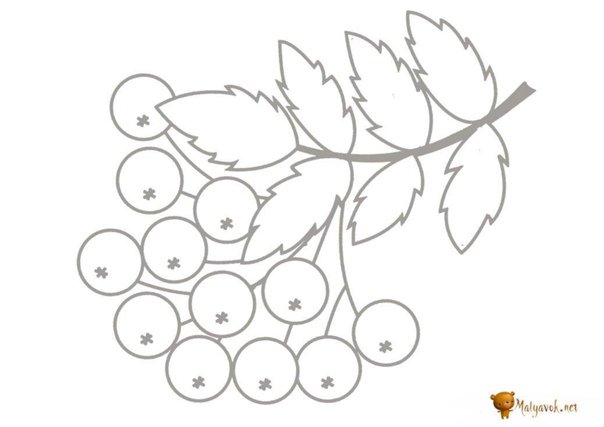 Рябина раскраска для малышей