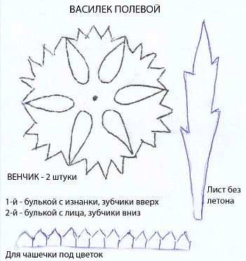 Лекало василька