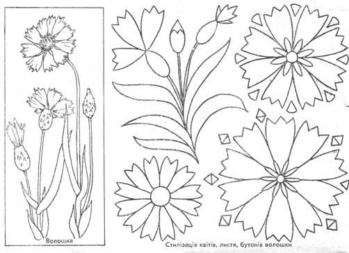 Цветы васильки для вырезания