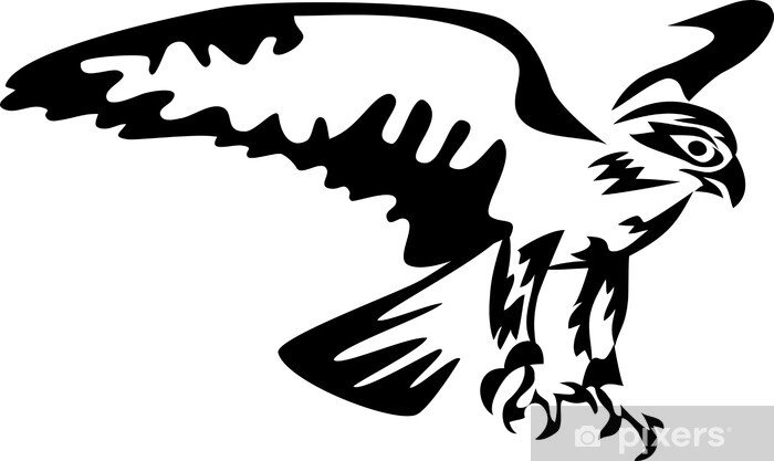 Сокол силуэт