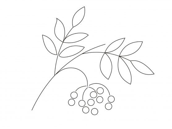 Веточка рябины без ягод для детей