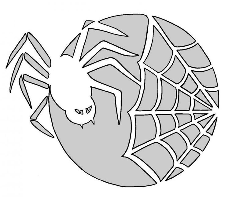 Паук трафарет