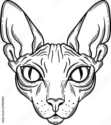 Тату сфинкс эскиз