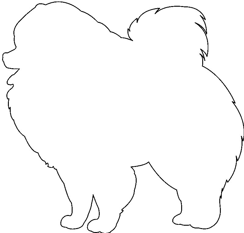 Собака контур