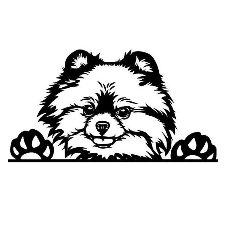 Шпиц векторный рисунок