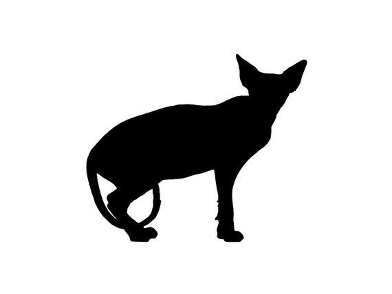 Кот лысый силуэт