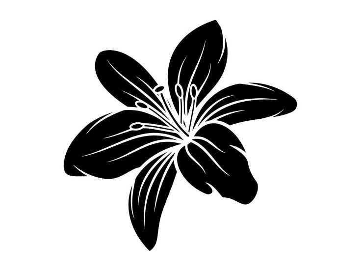 Лилия трафарет для вырезания