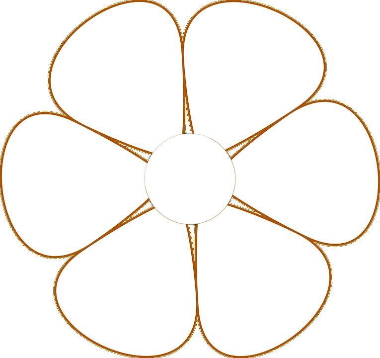 Цветок пять лепестков