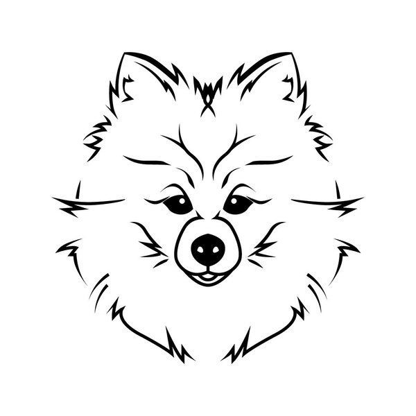 Раскраска шпиц