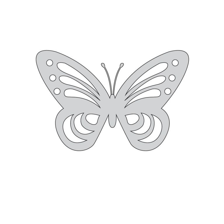 Шаблон бабочки