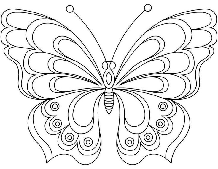 Бабочка для раскрашивания