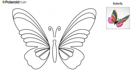 Шаблон бабочки