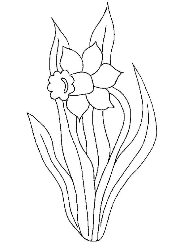 Шаблоны для рисования цветов