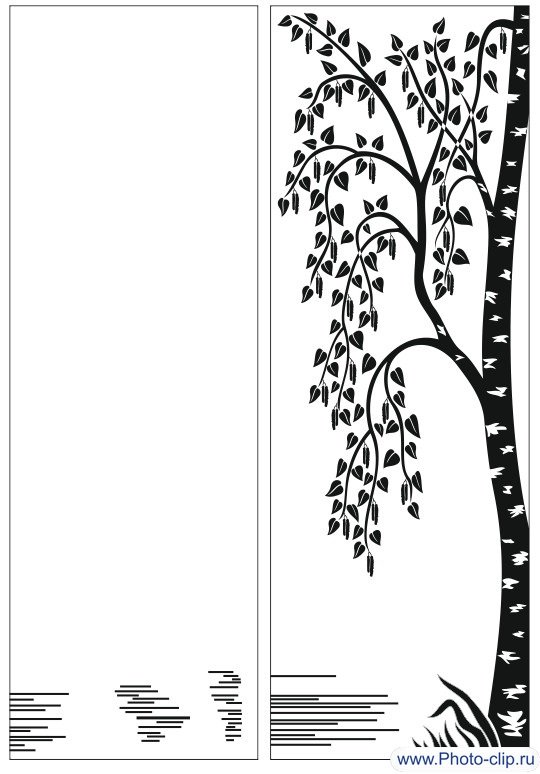 Береза рисунок