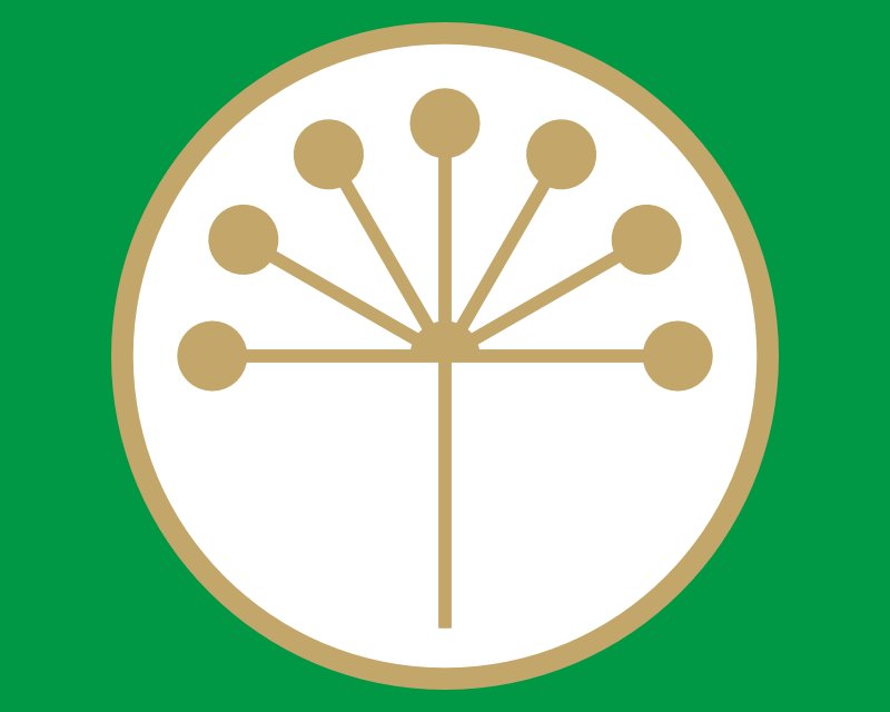 Символ Башкирии цветок курая